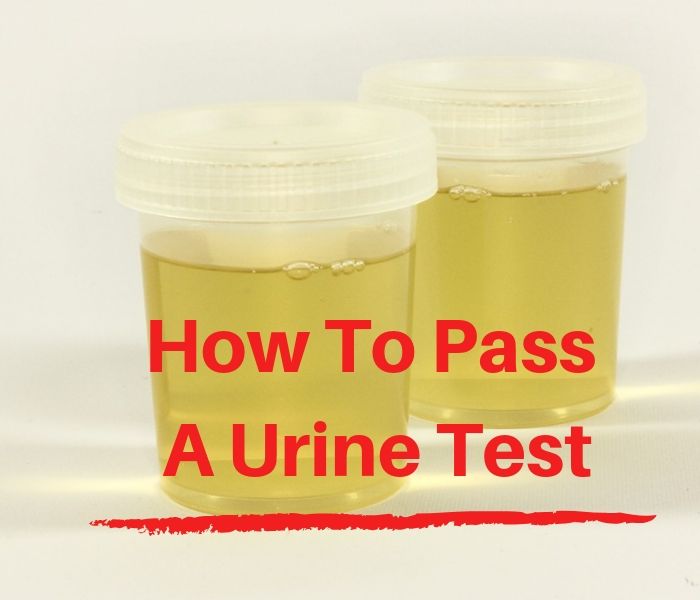 How To Pass A Urine Test