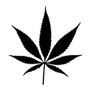 cannabis leaf