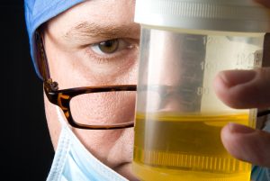 examining a fresh urine specimen
