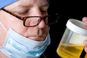 Man examining a fresh urine specimen.