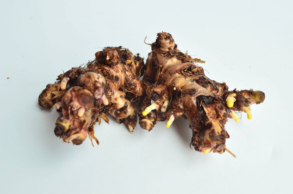 Goldenseal root