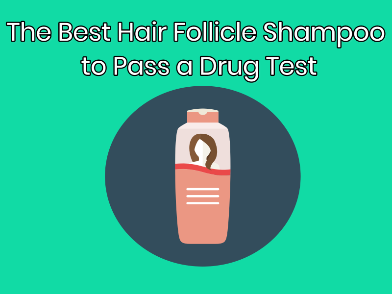 The Best Hair Follicle Shampoo to Pass a Drug Test