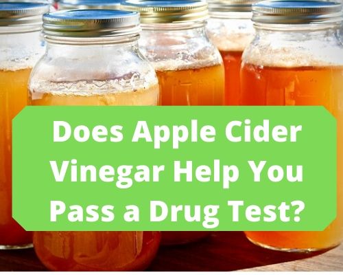 Apple Cider Vinegar Pass Drug Test
