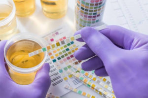 Testing for nitrates in Quick Fix