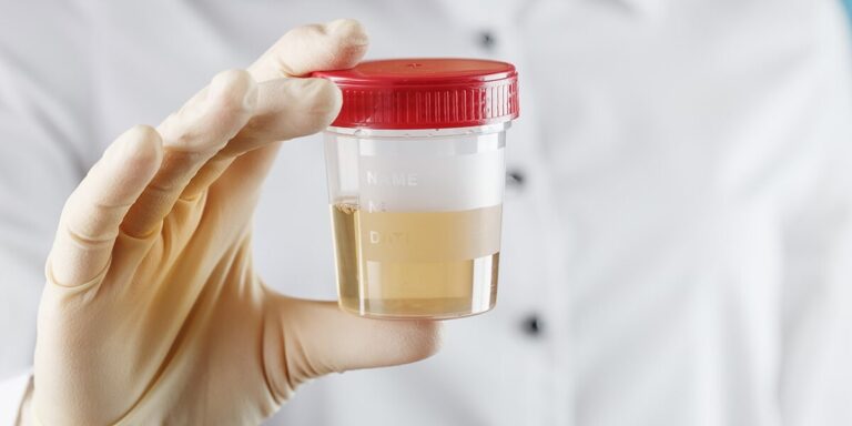 Is Fake Pee Illegal? What the Law Says in Each State